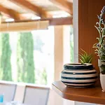 Apartamento Namoru Gradina *