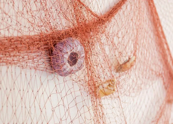 아파트 Namoru Gradina *