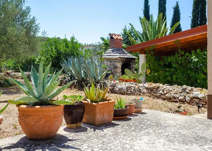 Namoru Gradina 아파트 벨라루카